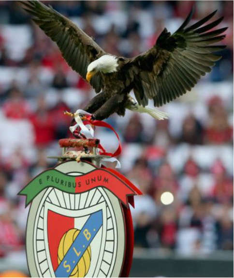 Portuguese Football